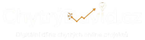 Chytrý David – srovnání půjček a pojištění